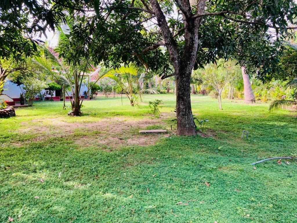 טנגלה Glorious Villa מראה חיצוני תמונה